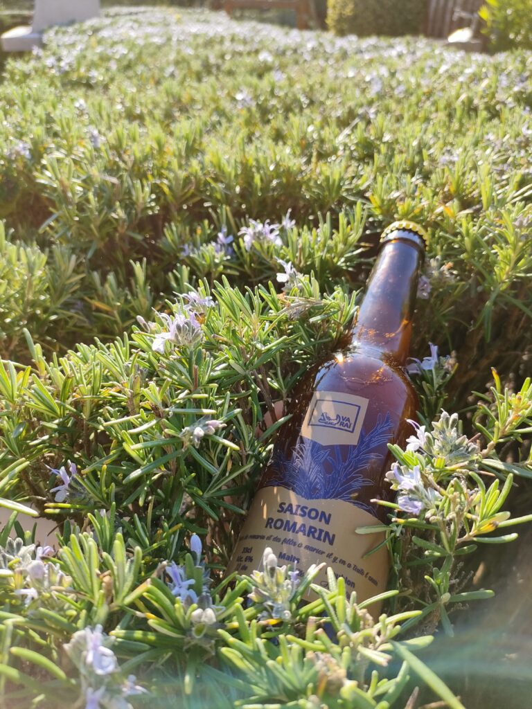 Saison romarin